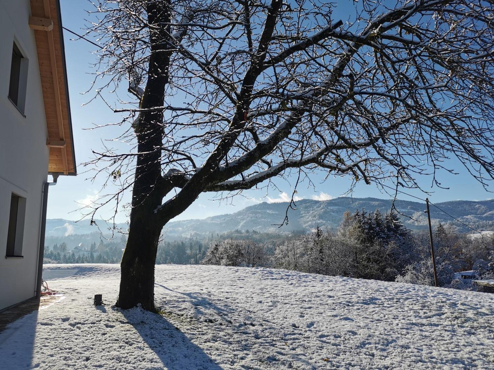 Villa Traumhaftes Ferienhaus am Lateinberg - 8455 Eibiswald Südsteiermark Exterior foto