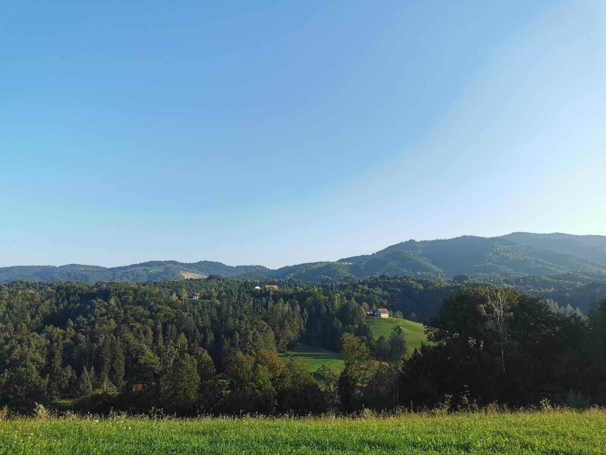 Villa Traumhaftes Ferienhaus am Lateinberg - 8455 Eibiswald Südsteiermark Exterior foto