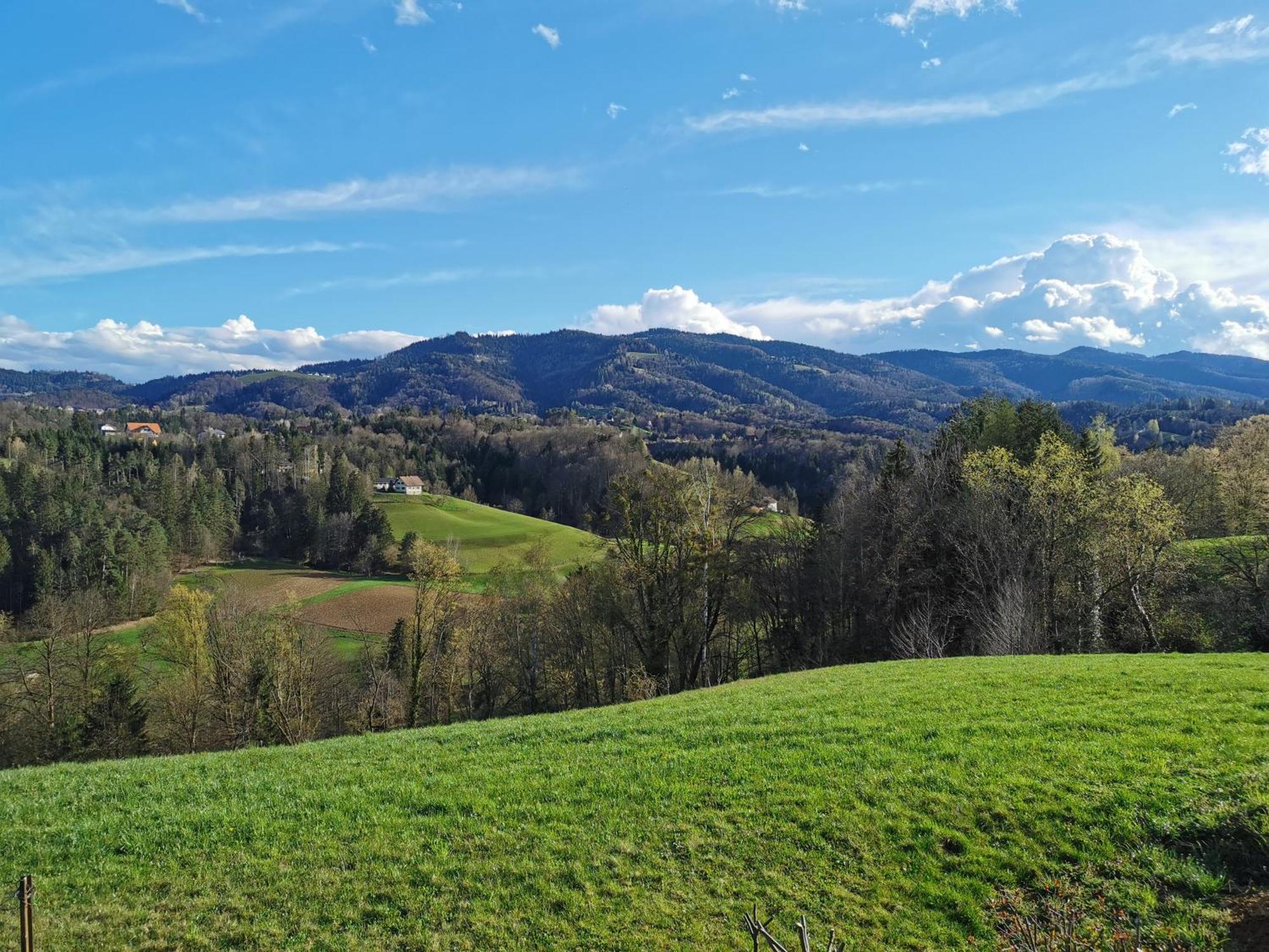 Villa Traumhaftes Ferienhaus am Lateinberg - 8455 Eibiswald Südsteiermark Exterior foto